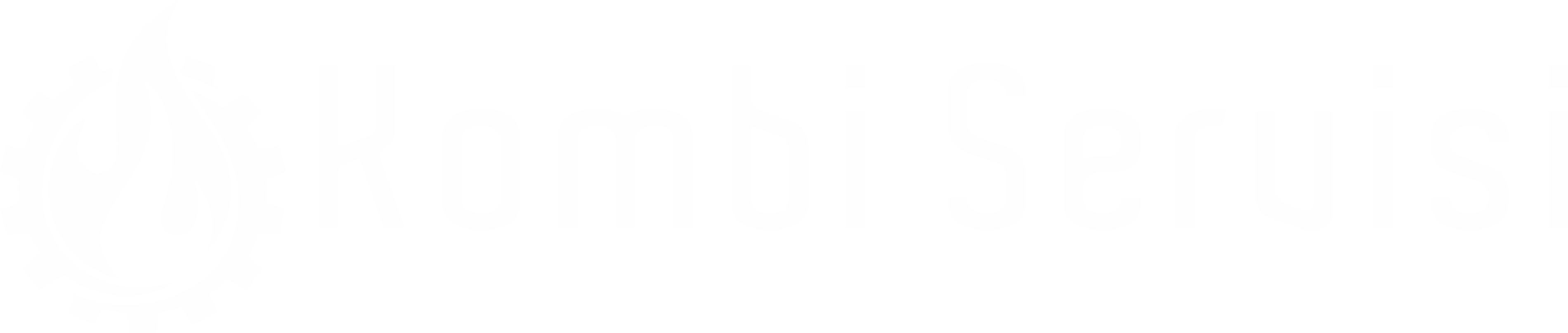 Kombi Servisi